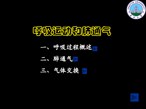 7.呼吸运动和肺通气