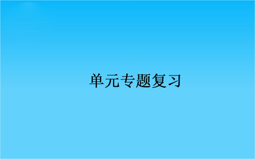 高中历史人教版必修2课件 专题八