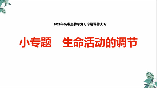 [优选]高考生物总复习专题优秀PPT小专题生命活动的调节