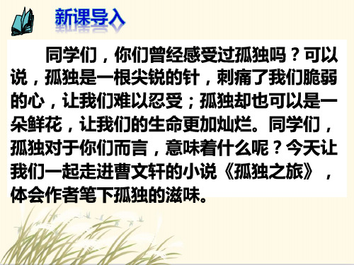 第17课 孤独之旅  课件(共46张PPT) 2024-2025学年统编版语文九年级上册