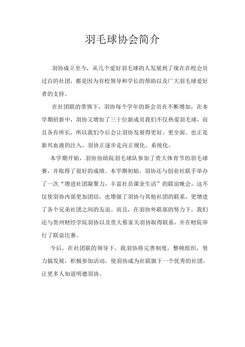 羽毛球协会简介