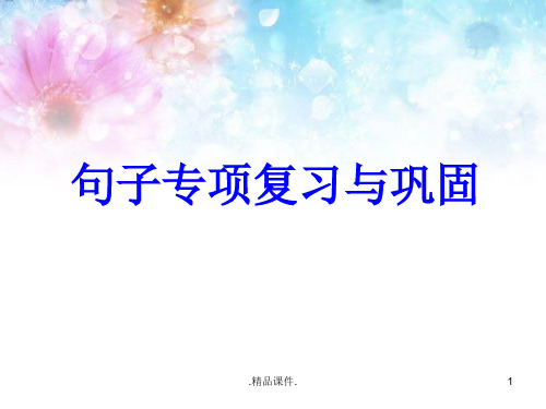 小学语文句子专项练习(精品版)归纳.ppt