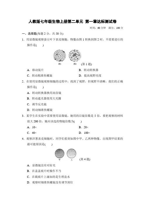 人教版七年级生物上册第二单元 第一章达标测试卷附答案 (2)