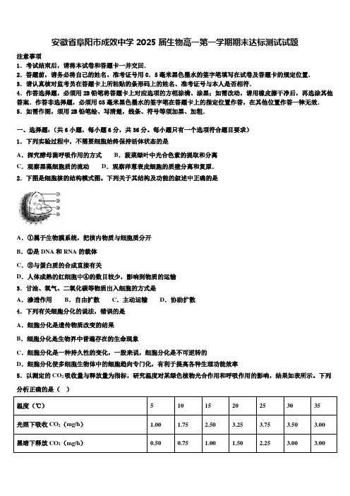 安徽省阜阳市成效中学2025届生物高一第一学期期末达标测试试题含解析