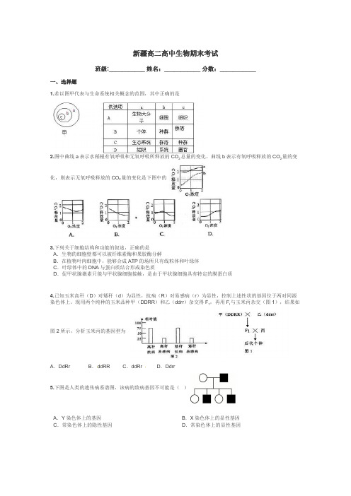 新疆高二高中生物期末考试带答案解析
