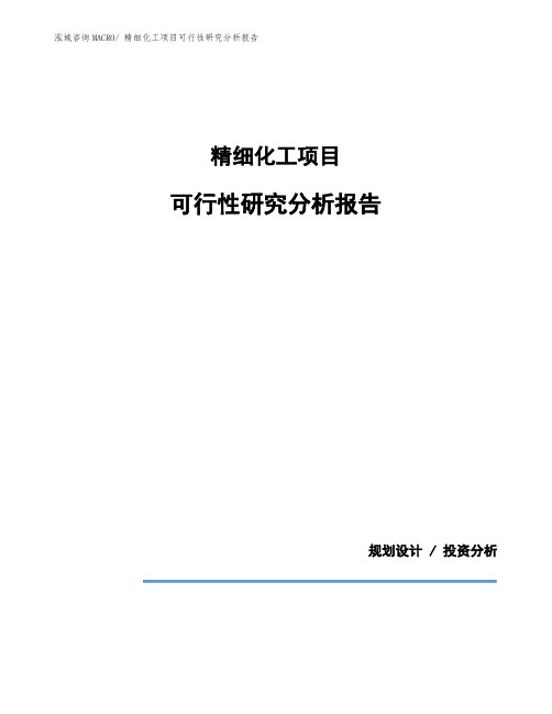 精细化工项目可行性研究分析报告 (1)