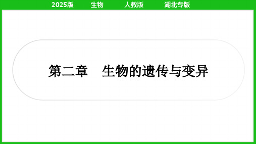 2025人教版中考生物总复习考点精讲八年级下册第七单元生物圈中生命的延续和发展第二章生物的遗传与变异