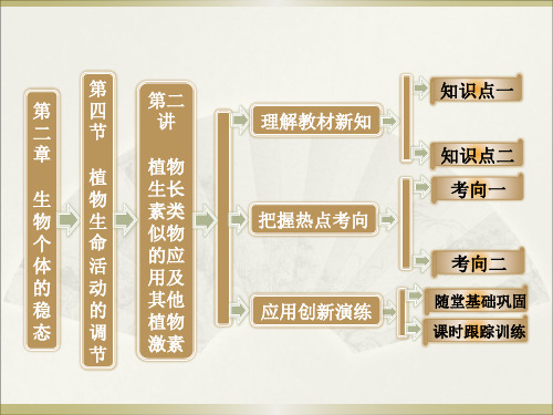 《植物生长素类似物的应用》课件2