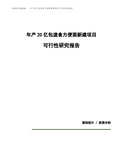 年产20亿包速食方便面新建项目可行性研究报告