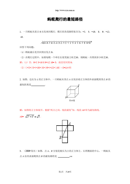 专题训练蚂蚁爬行的最短路径(含答案)分解