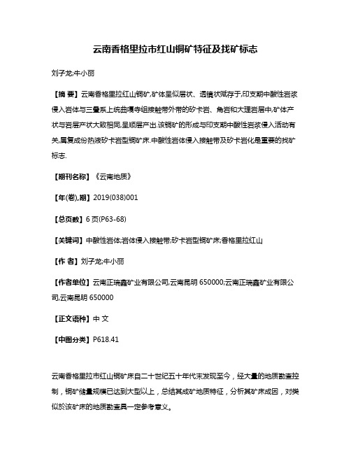 云南香格里拉市红山铜矿特征及找矿标志