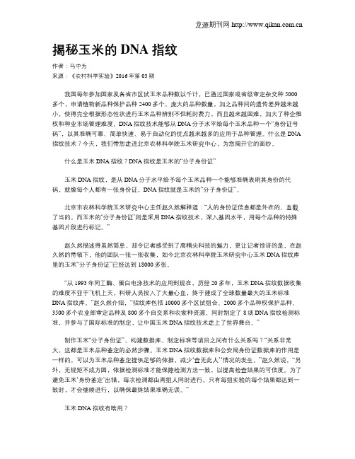 揭秘玉米的DNA指纹