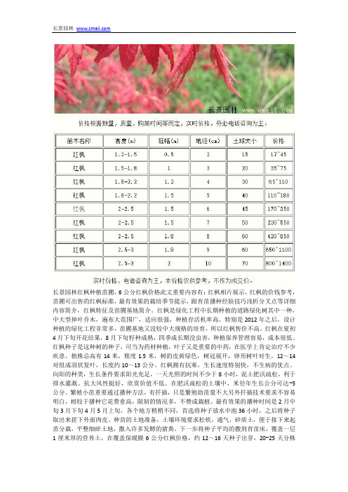 6公分红枫价格