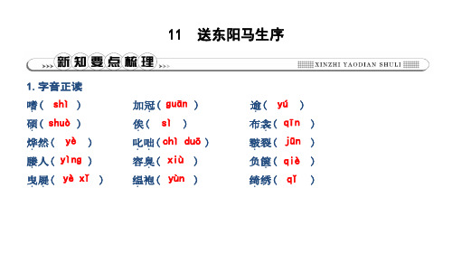 2019年春人教部编版九年级下册语文习题课件：11 送东阳马生序(共17张PPT)