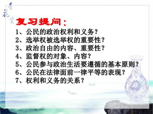 《政治生活》第二课第一节《民主选举：投出理性一票》