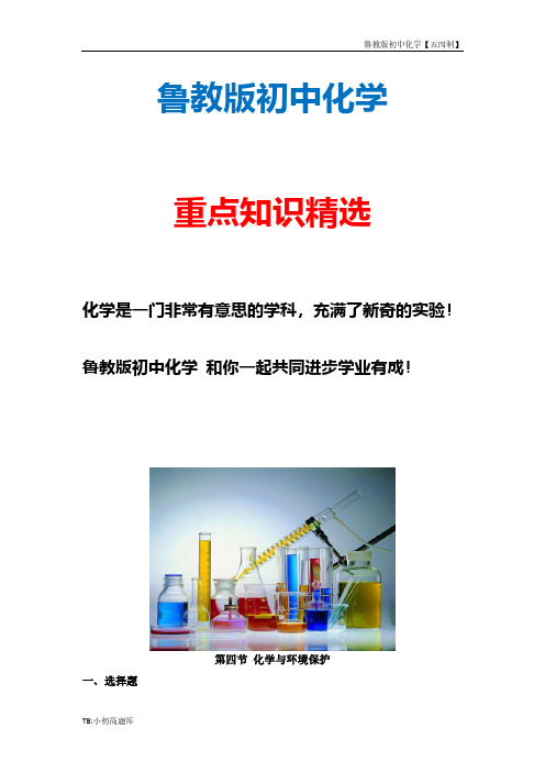 鲁教版初中化学五四制九年级全册《化学与环境保护》预习检测