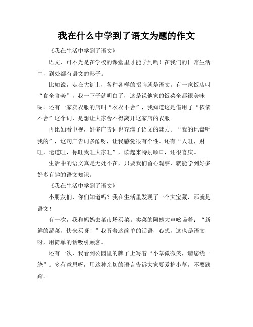 我在什么中学到了语文为题的作文