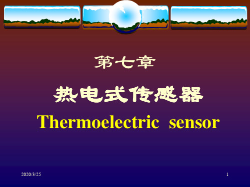 热电传感器