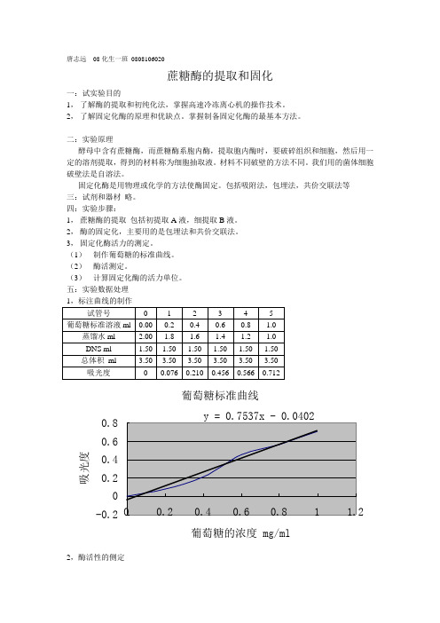 蔗糖酶的提取和固化