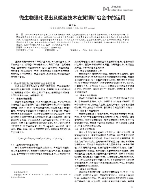 微生物强化浸出及微波技术在黄铜矿冶金中的运用