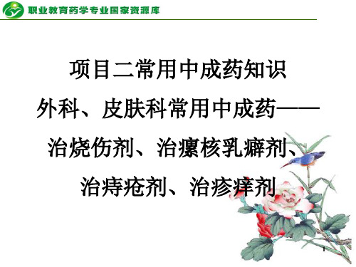 外科、皮肤科常用中成药——治烧伤剂、治瘰核乳癖剂、治烧伤剂、.