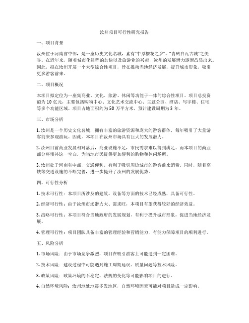 汝州项目可行性研究报告