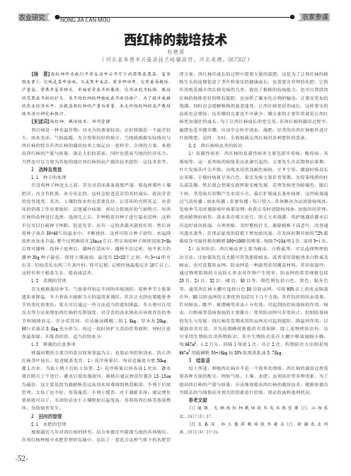 西红柿的栽培技术