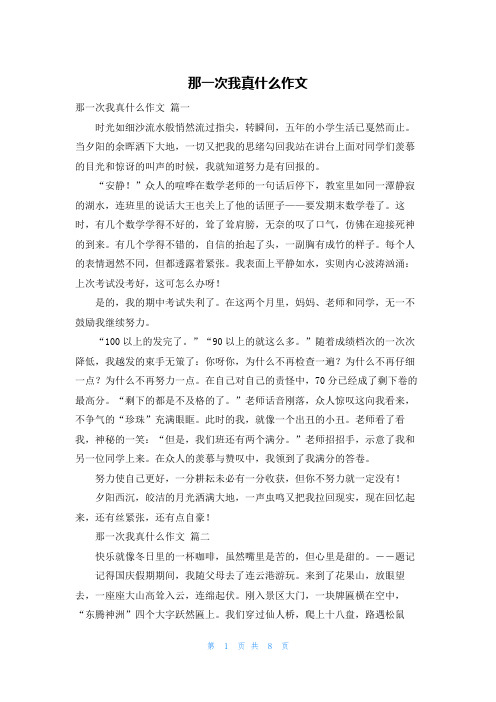 那一次我真什么作文