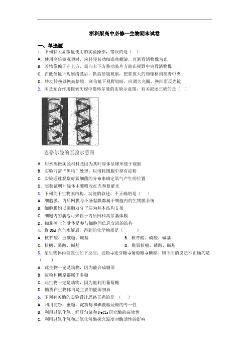 浙科版高中必修一生物期末试卷