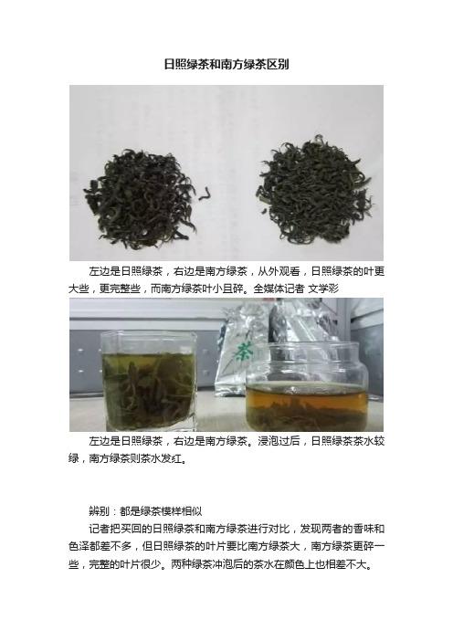 日照绿茶和南方绿茶区别