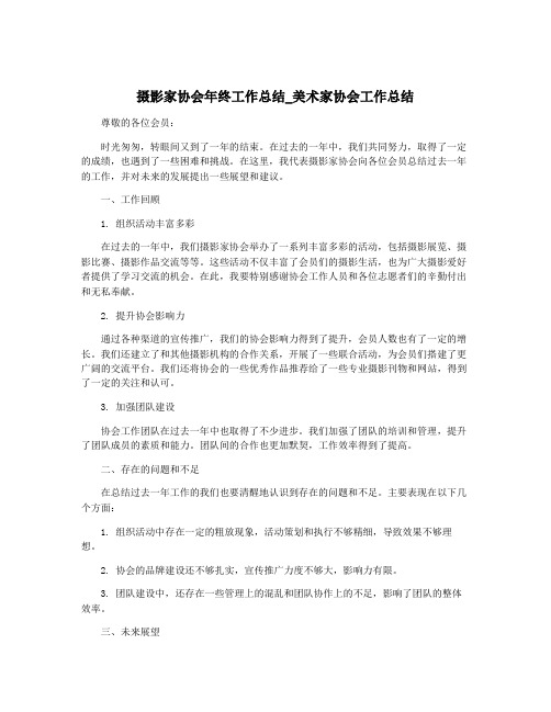 摄影家协会年终工作总结_美术家协会工作总结