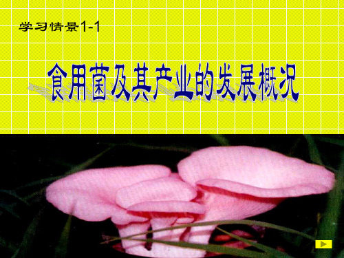 食用菌及其产业发展趋势.ppt