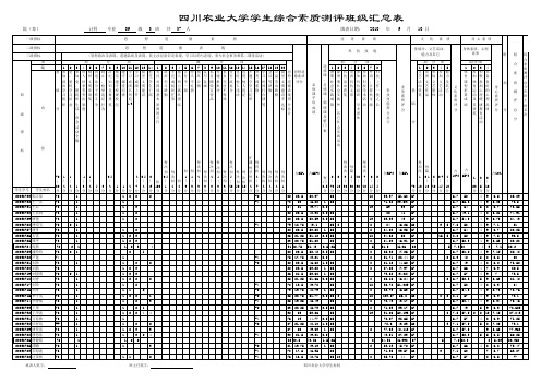 大学学生综合素质测评班级汇总表