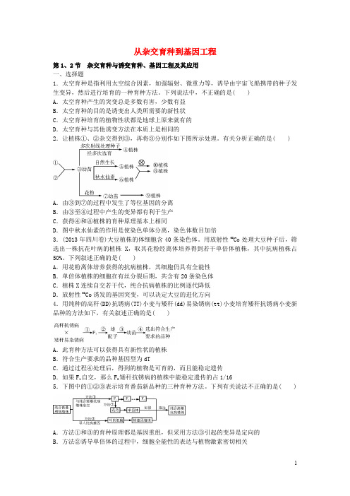 高考生物一轮总复习 第6章 从杂交育种到基因工程(必修