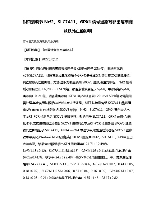 银杏素调节Nrf2、SLC7A11、GPX4信号通路对卵巢癌细胞及铁死亡的影响