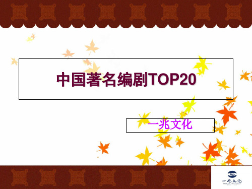 中国著名编剧TOP20