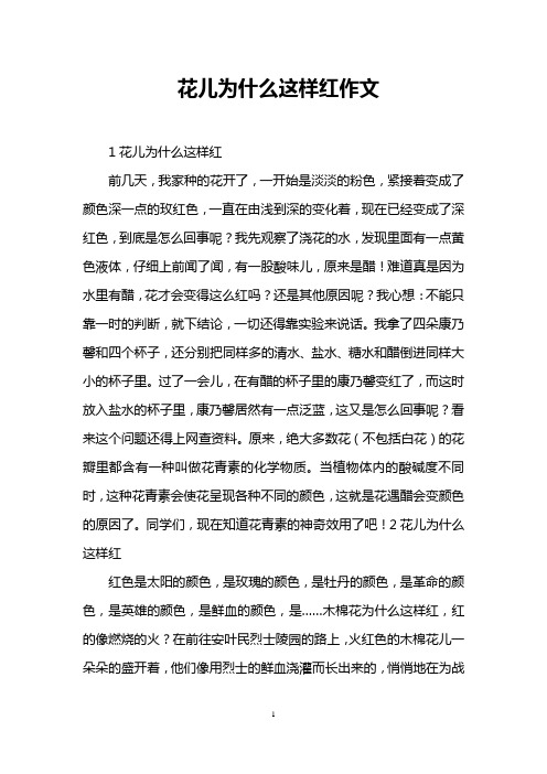 花儿为什么这样红作文