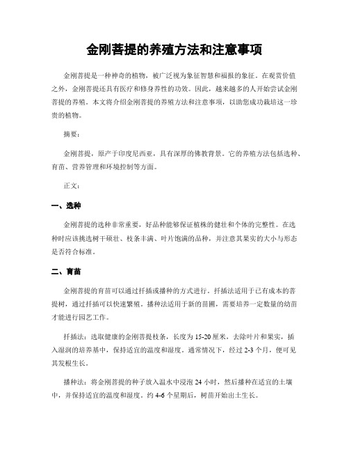 金刚菩提的养殖方法和注意事项