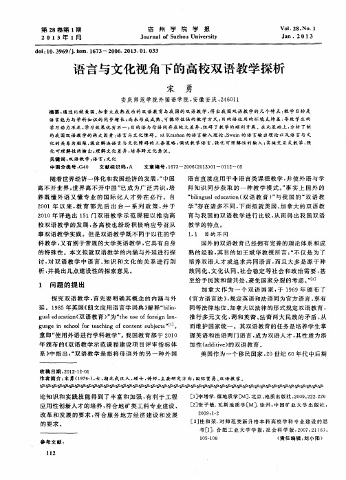 语言与文化视角下的高校双语教学探析