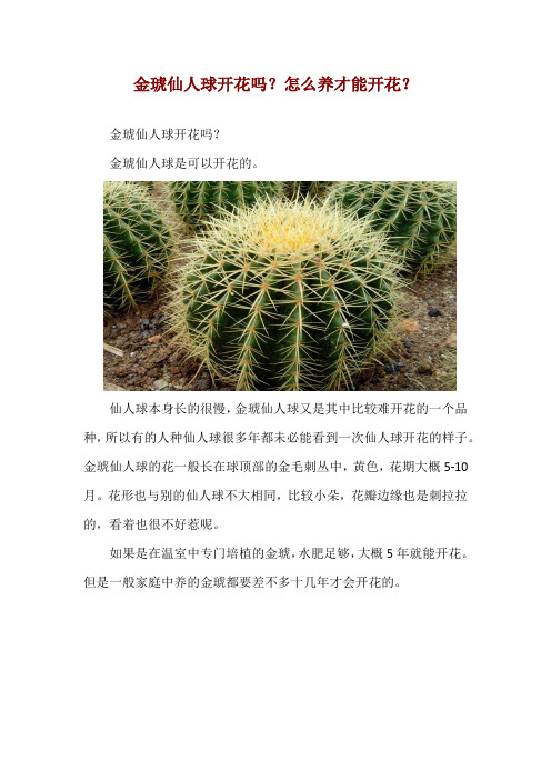 金琥仙人球开花吗？怎么养才能开花？