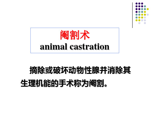 公犬阉割