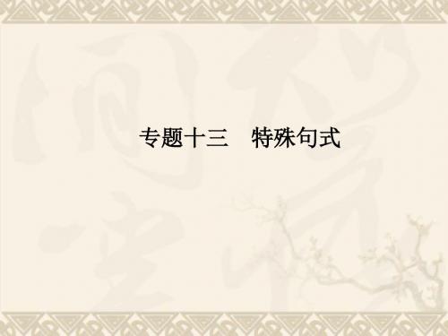 高考英语一轮复习 第二部分 语法专项专练 专题十三 特殊句式课件 北师大版