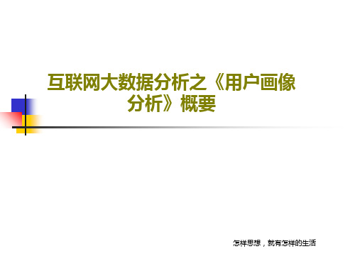 互联网大数据分析之《用户画像分析》概要共63页文档