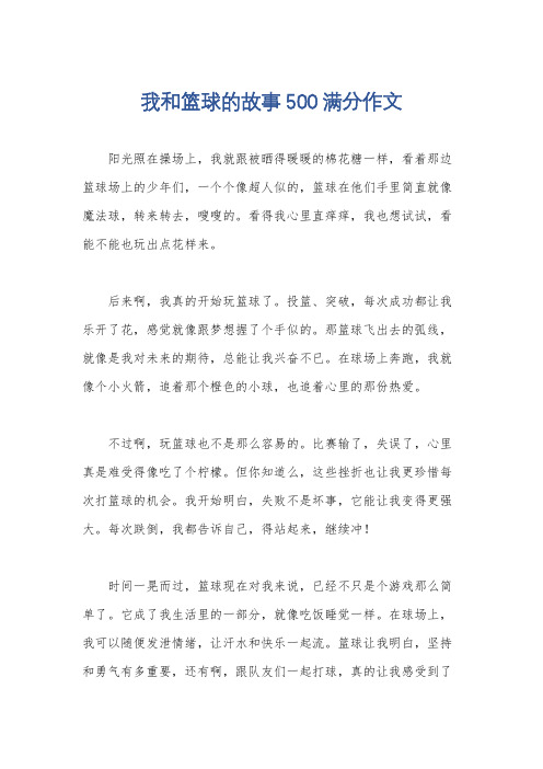 我和篮球的故事500满分作文