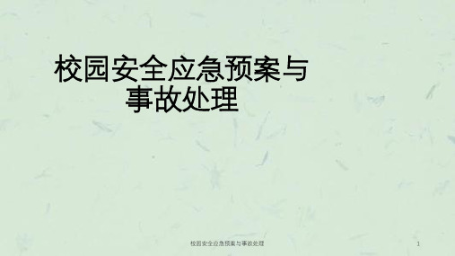 校园安全应急预案与事故处理课件