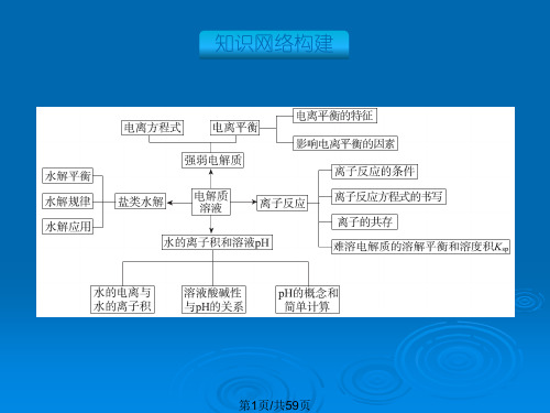 高三总复习水溶液中的离子平衡.pptx