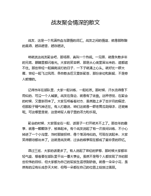 战友聚会情深的散文