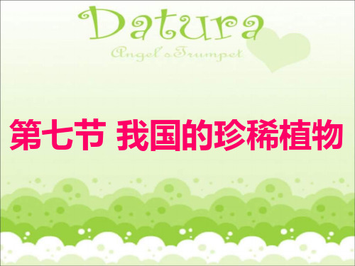 冀教版生物七年级上第七节《我国的珍稀植物》ppt课件