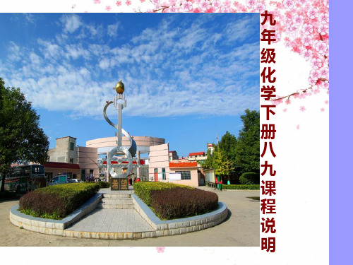 人教版九年级化学下册教材分析8-12单元.ppt 新改