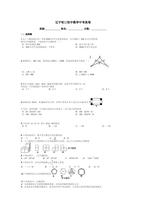 辽宁初三初中数学中考真卷带答案解析
